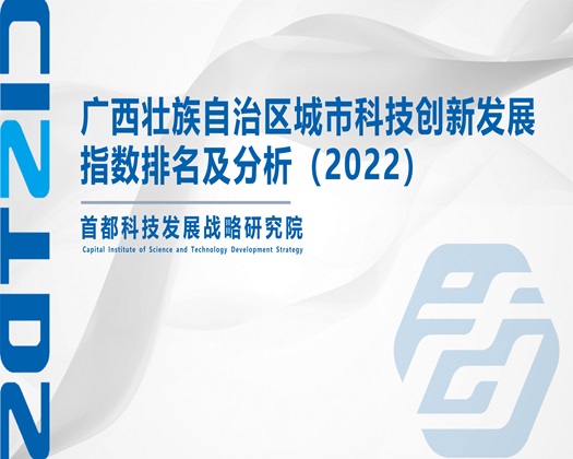 又黄又湿的鸡巴小网站【成果发布】广西壮族自治区城市科技创新发展指数排名及分析（2022）